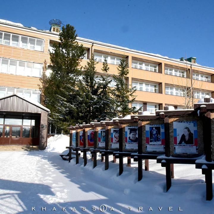 Кедр
