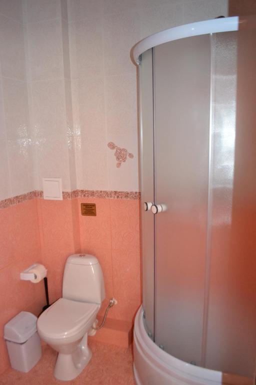 Номер стандарт с 1 двуспальной кроватью 4
