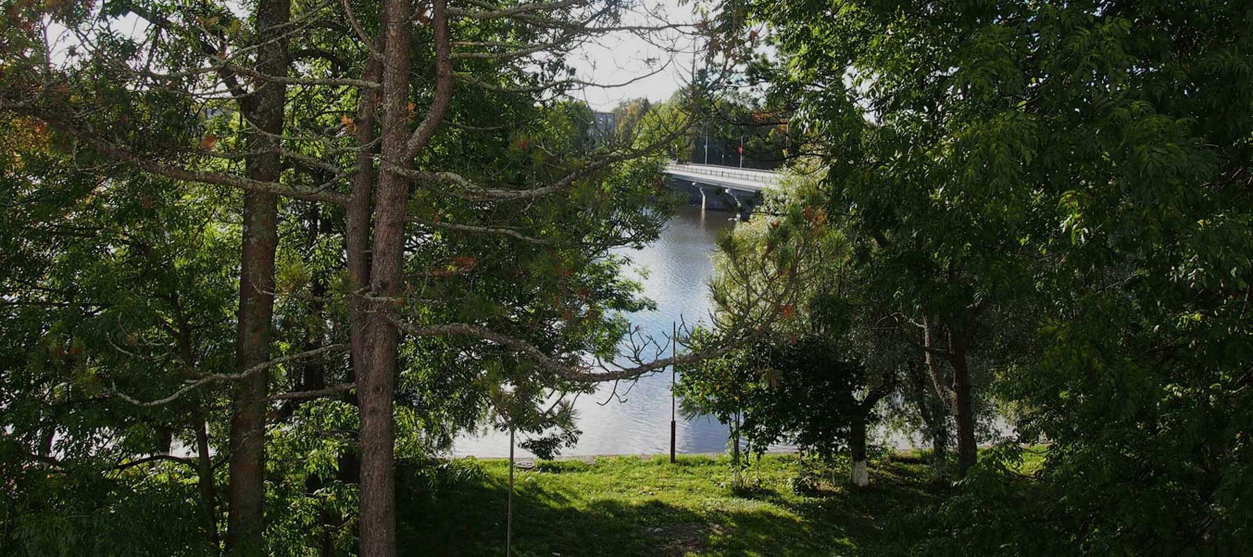 Сеурахуоне (Seurahuone) - 15