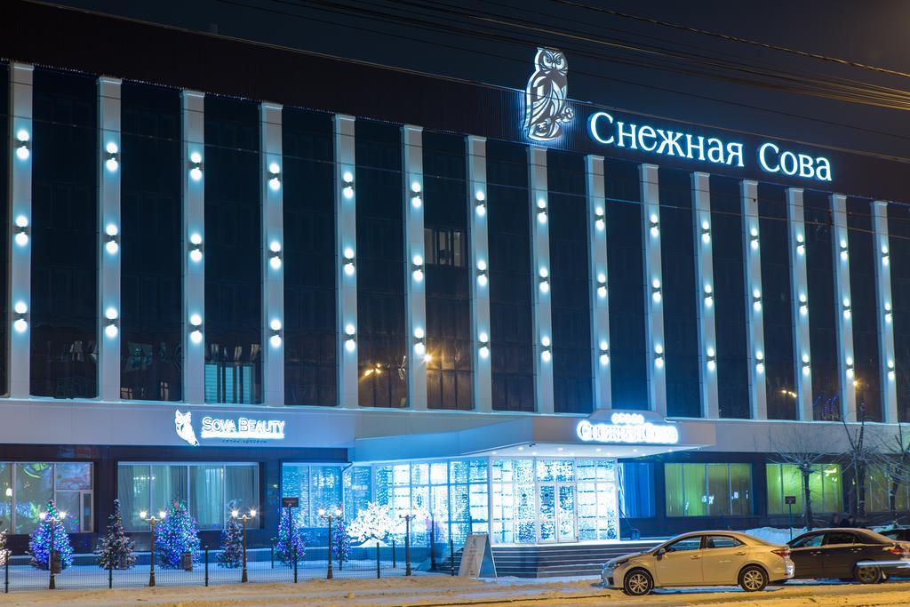 Снежная сова - 9