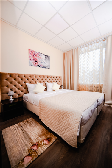 Business lounge hotel (Бизнес Лаундж Отель) - 6