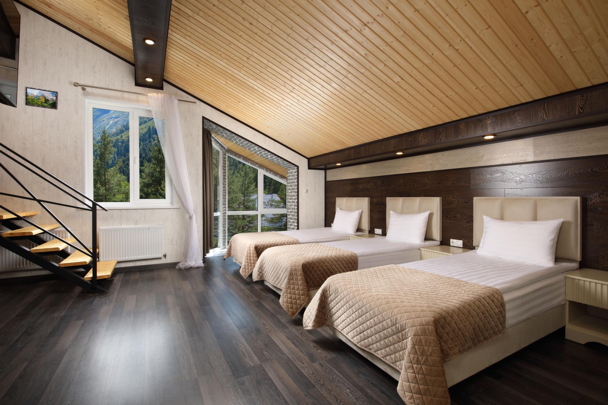 Номер полулюкс двухуровневый с видом на горы