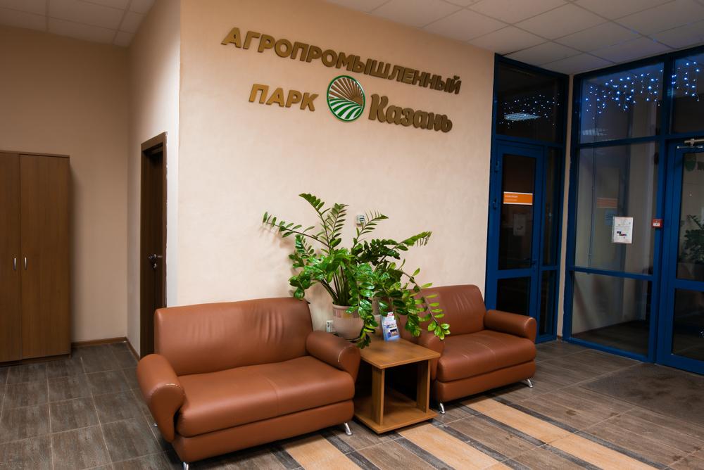 Азалия на Аграрной - 11
