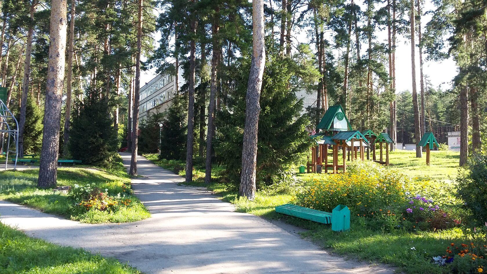 Сосновый бор - 6