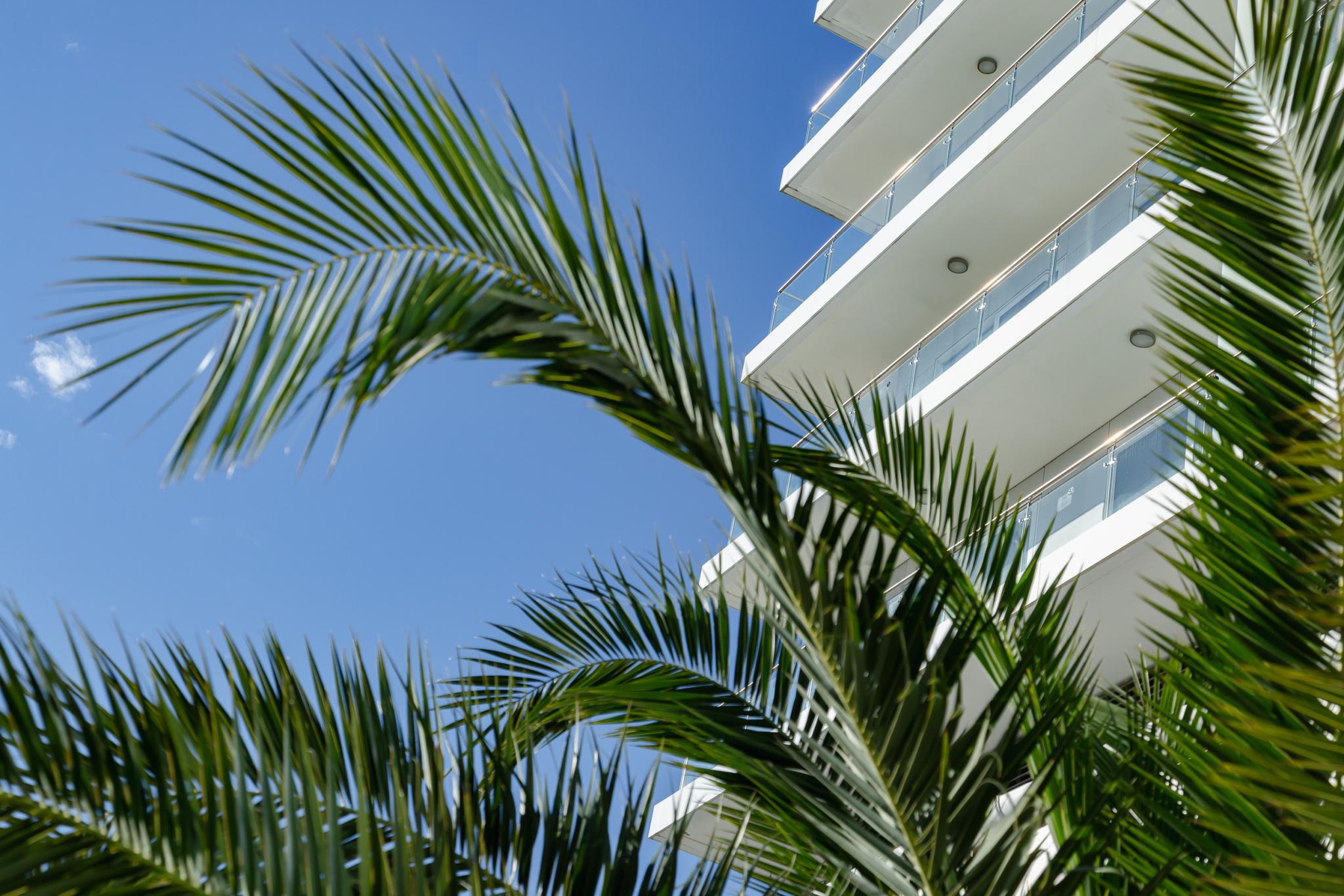 Рэдиссон Колекшн Парадиз СПА Сочи (Radisson Collection Paradise Resort &amp; Spa Sochi) - 18