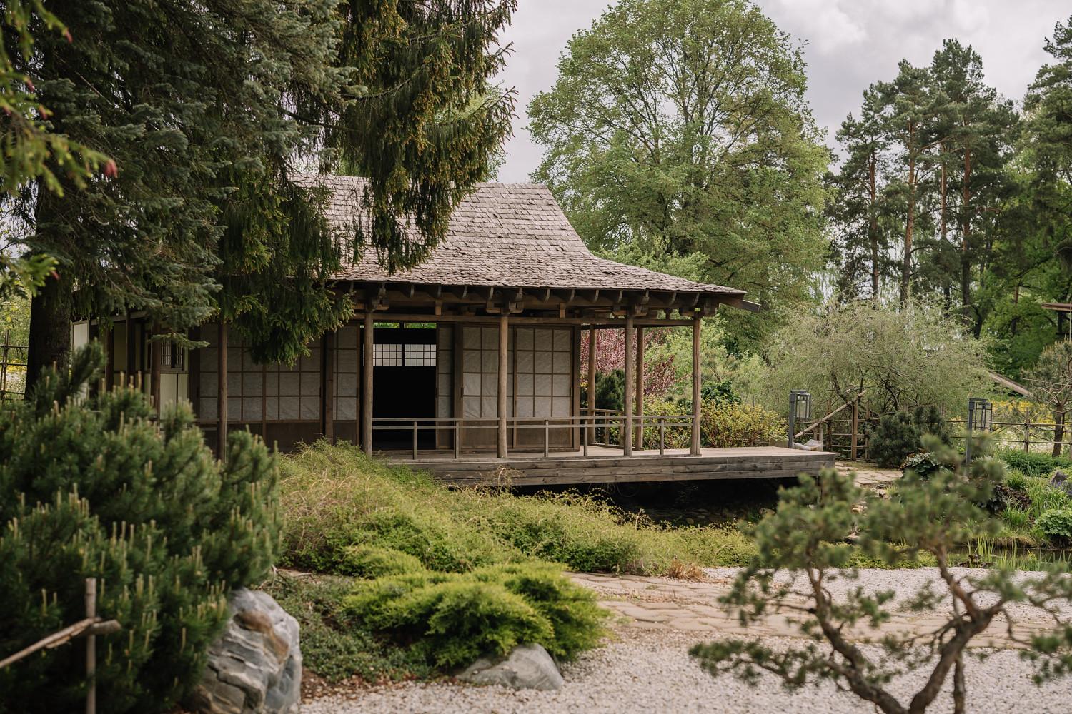 Welna Eco SPA resort (Вэлна Эко СПА Резорт) - 10