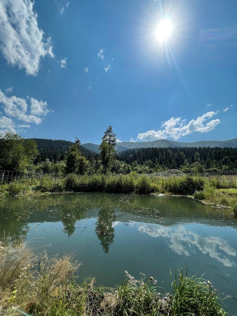 Гостиничный комплекс Allure Lodge (Аллюр Лодж) - 8