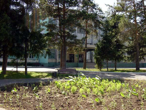 Лесная сказка - 4