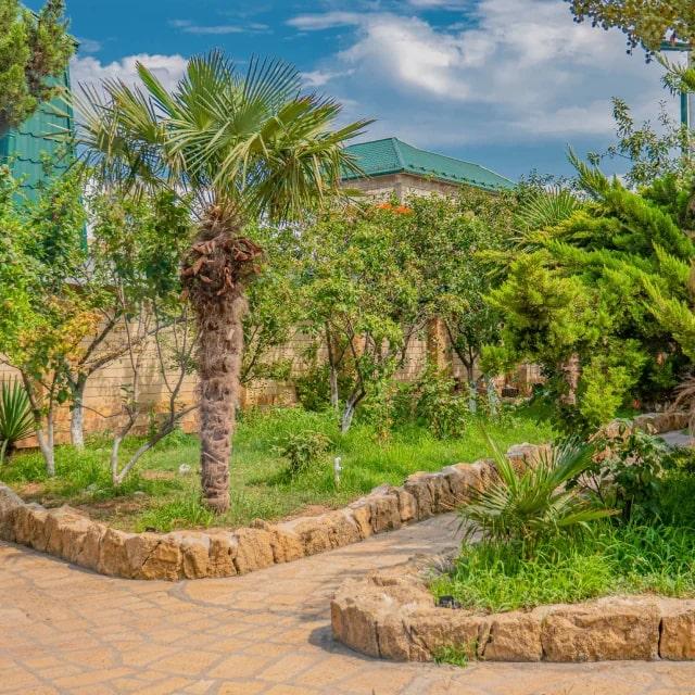 Villa Victoria (Вилла Виктория) - 4