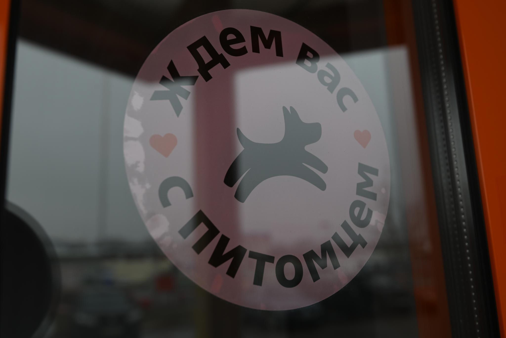 Гость - 12