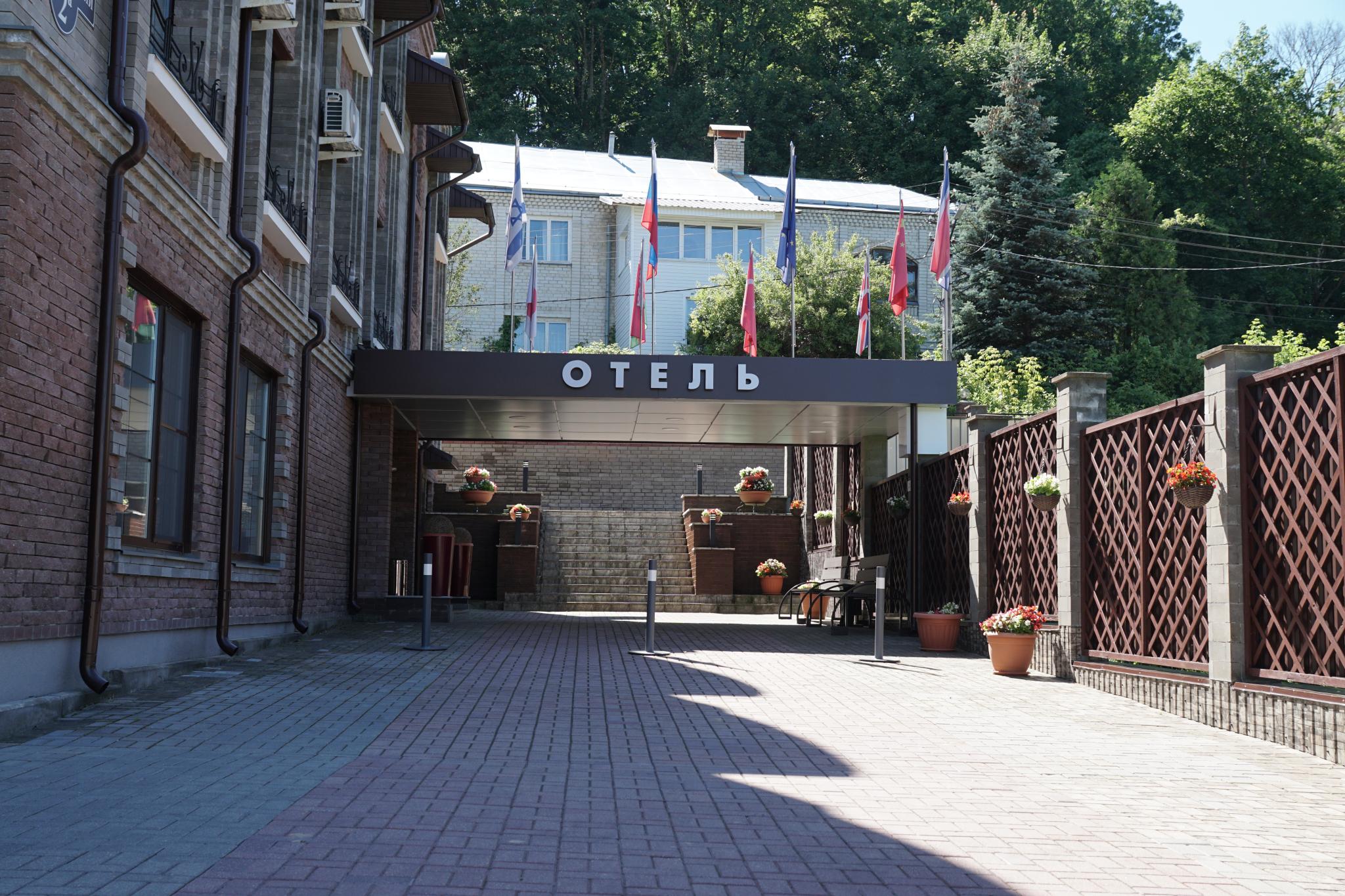 Медведь - 6