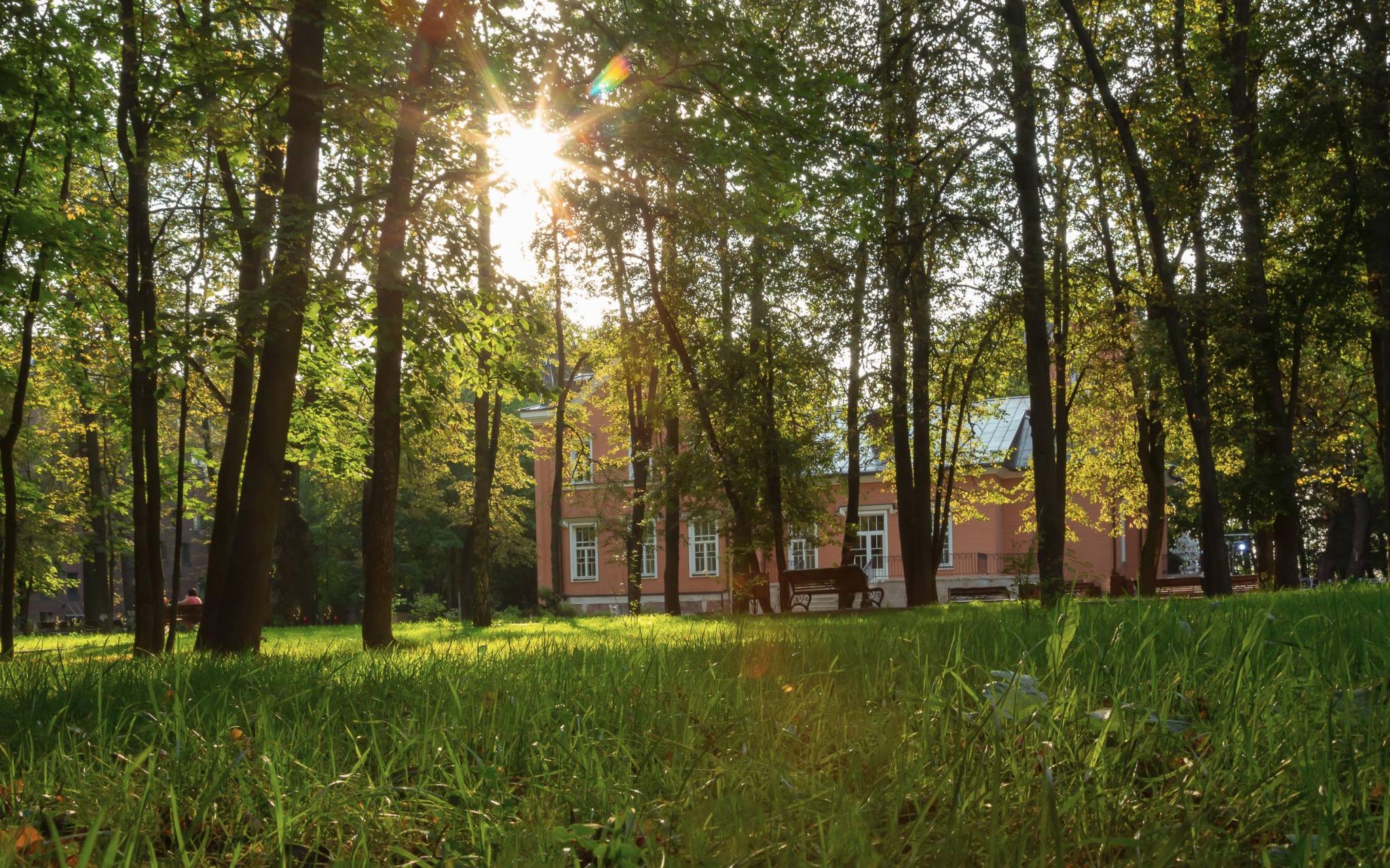 Palmira Garden Hotel &amp; SPA (Пальмира Гарден) - 13