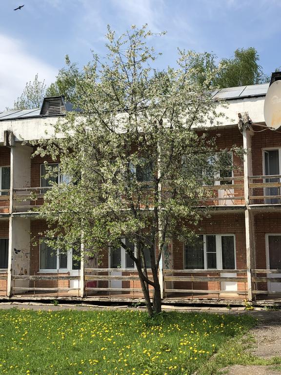 Дом творчества имени Д.Н. Кардовского - 17
