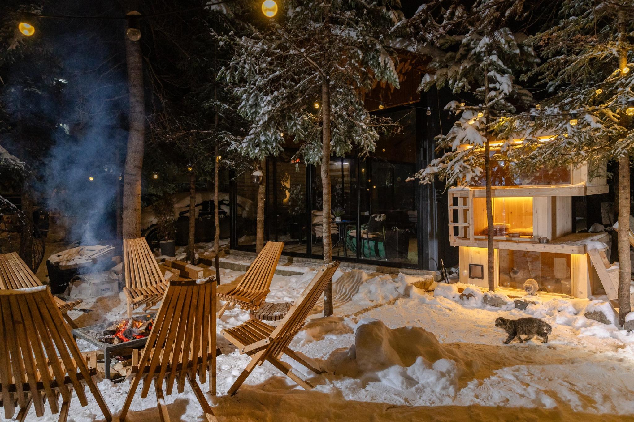 Dombay Winter Hall (Винтер Холл) - 5