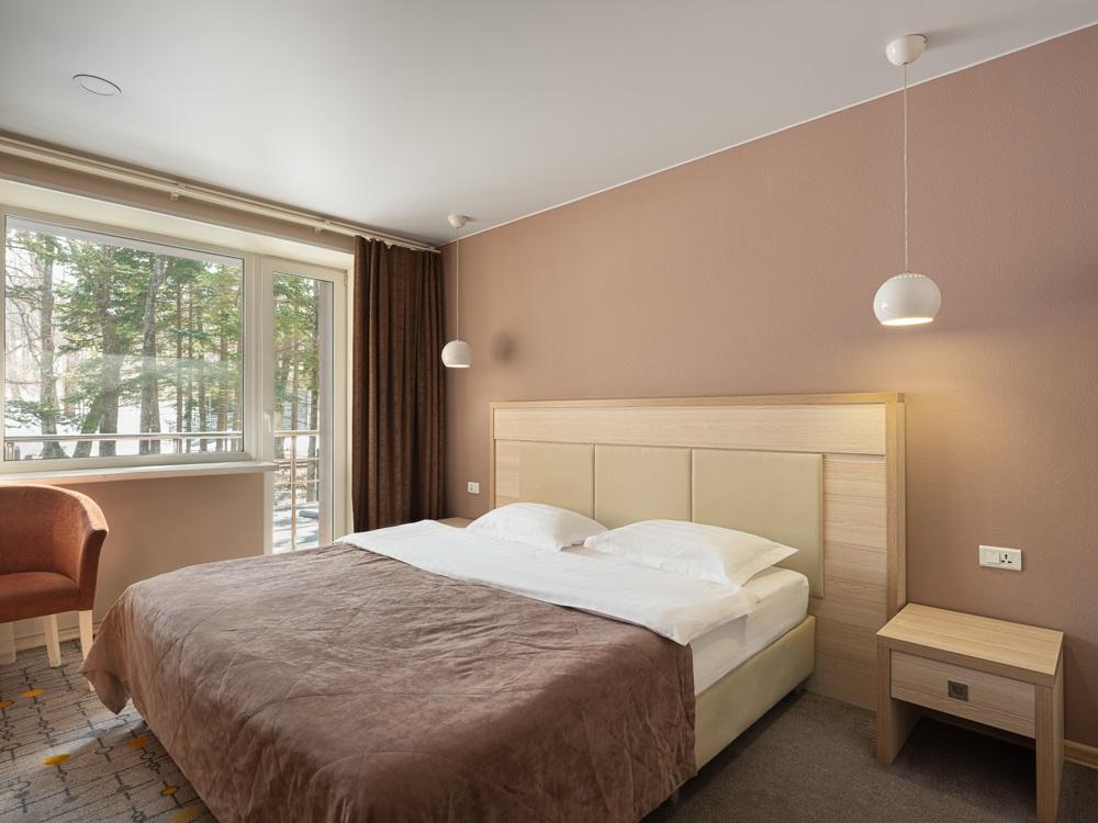 Номер стандарт с 1 двуспальной кроватью King Size